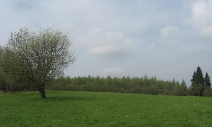 Mukov