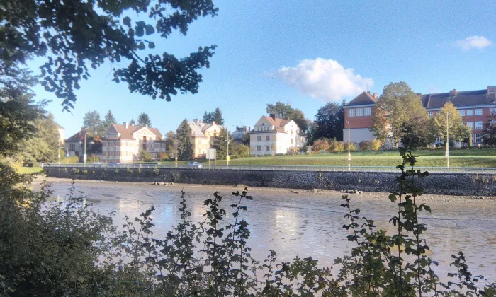 Městské opevnění (Polička)