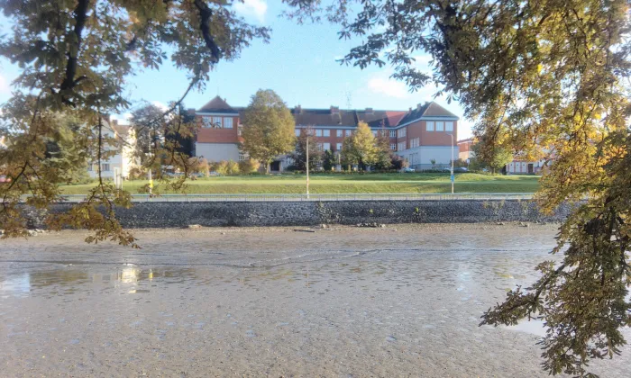 Městské opevnění (Polička)