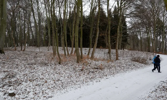 Na Rovinách