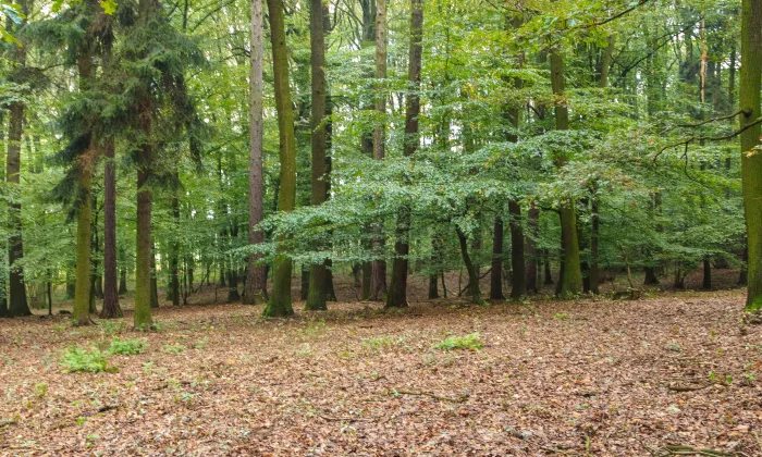Na Valech (Horní Přím)