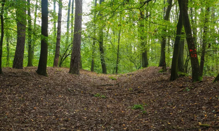 Na Valech (Horní Přím)