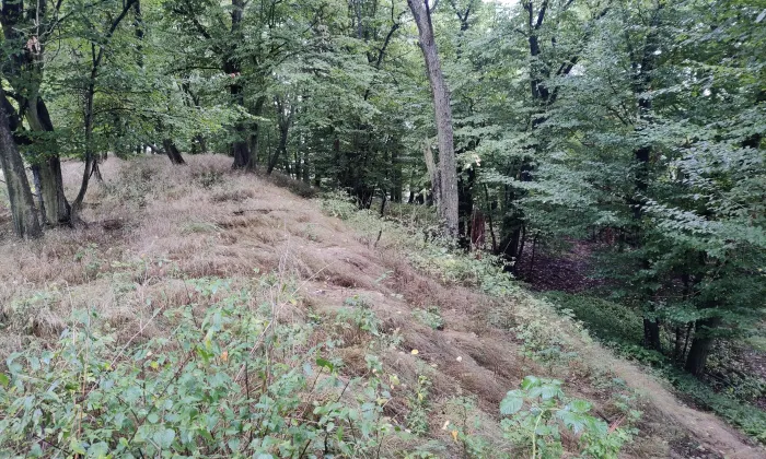 Nalžovické Podhájí