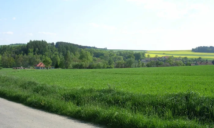 Nespery