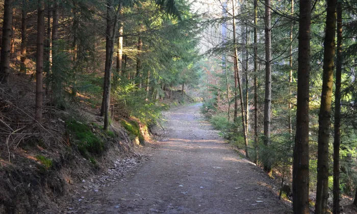 Nové Město nad Metují (hradiště)