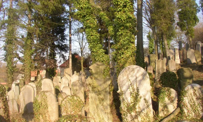 Nový židovský hřbitov v Hostouni