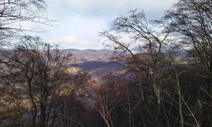Obřany (hrad, okres Kroměříž)