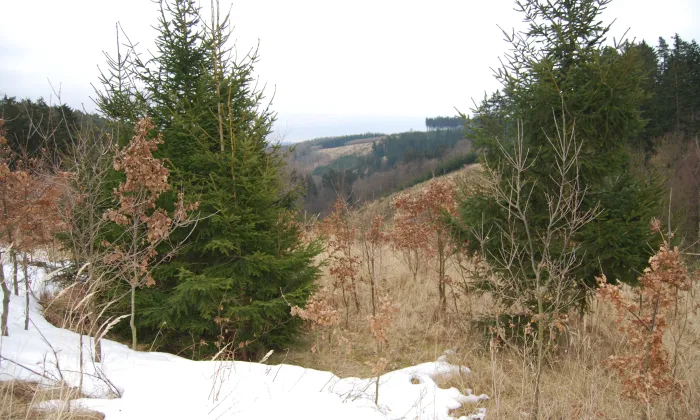 Oppidum Nevězice