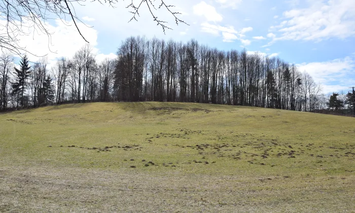 Oppidum Třísov