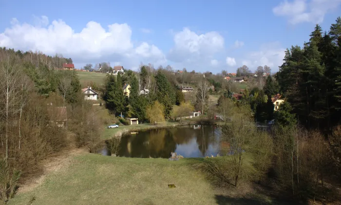 Pařez