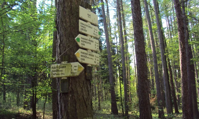 Pustý zámek (hrad, okres Česká Lípa)