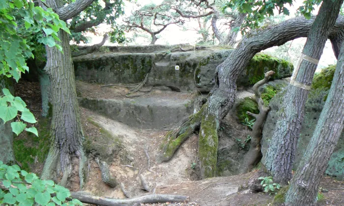 Pustý zámek (hrad, okres Česká Lípa)