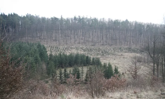 Rabštejn (hrad, okres Třebíč)