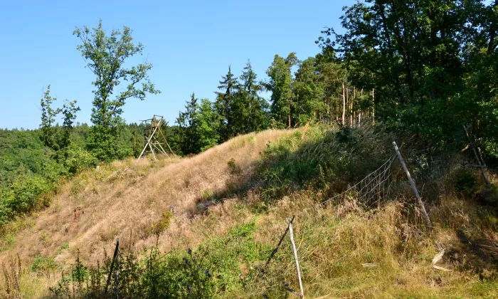 Radná