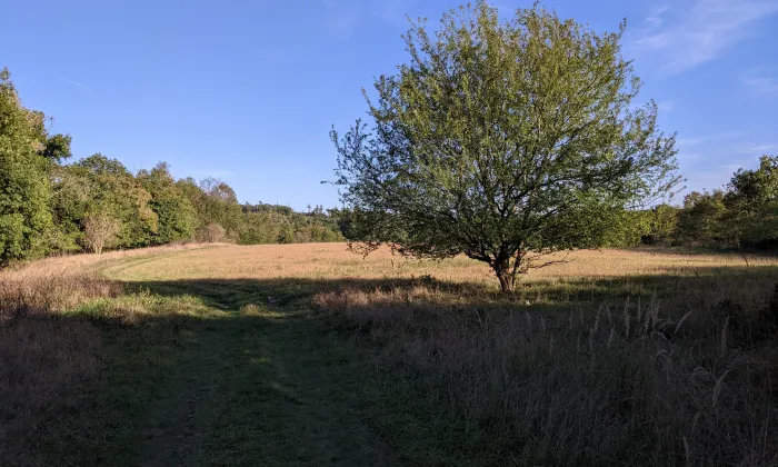 Staré Zámky