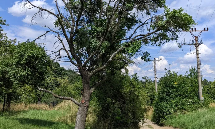 Starý zámek