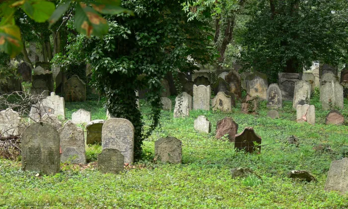 Starý židovský hřbitov v Kolíně