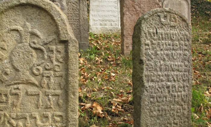 Starý židovský hřbitov ve Švihově
