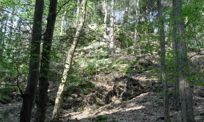 Třebonín