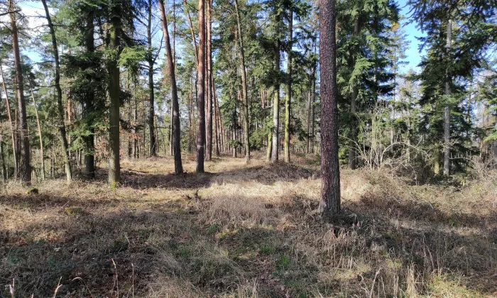 Velký hrádeček