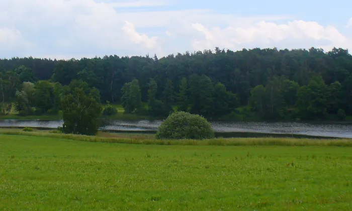Vepice