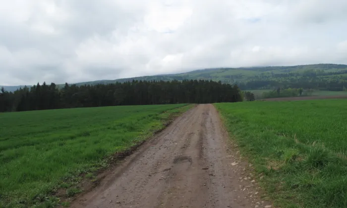 Vodní mlýn (Holubov)