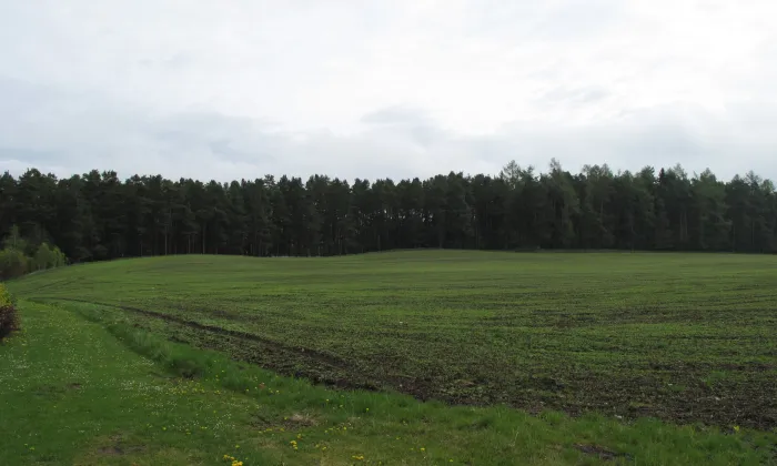 Vodní mlýn (Holubov)