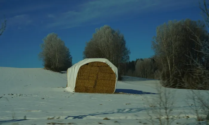 Vodní mlýn (Salavice)