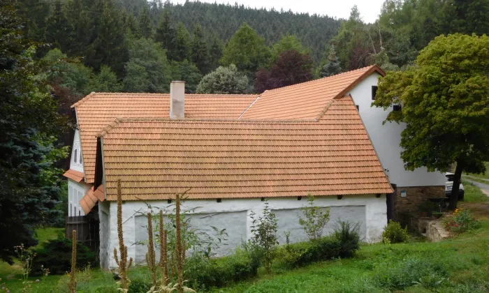 Vodní mlýn s pilou (Trhonice)