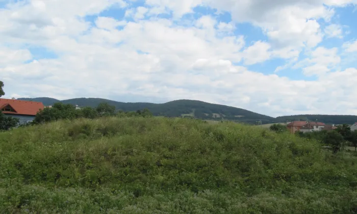 Vodní tvrz
