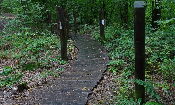 Větrný mlýn (Růžová)