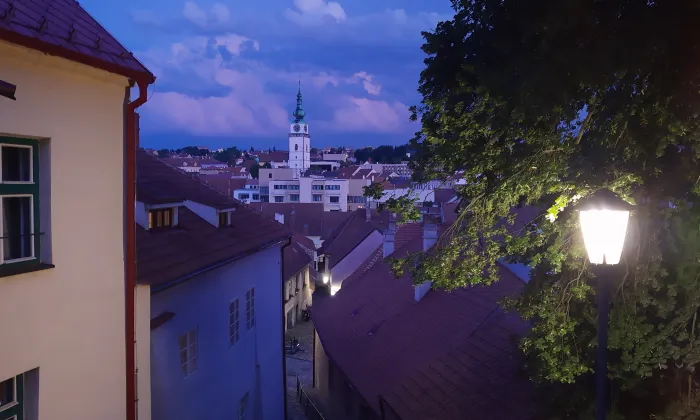 Zadní synagoga