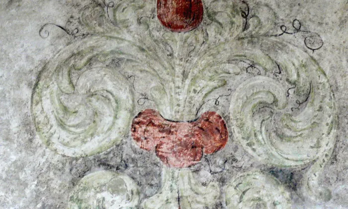 Zadní synagoga