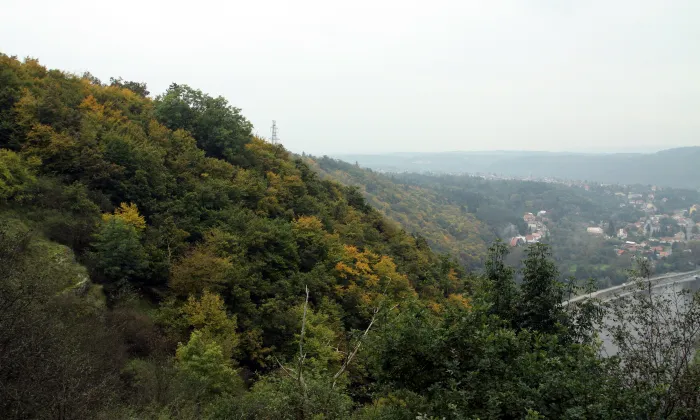 Zvolská homole