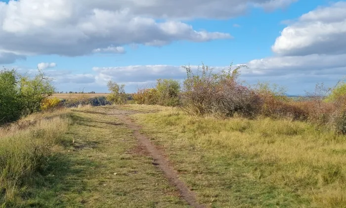 Řivnáč