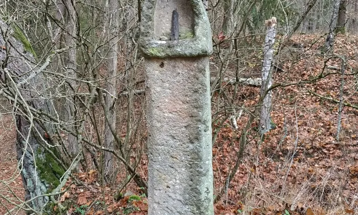 Šipín