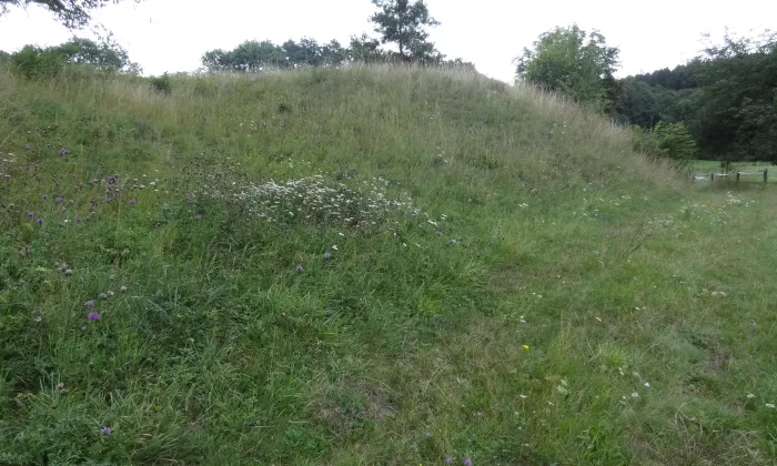 Šluspárk