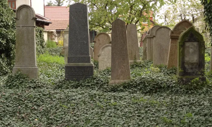 Židovský hřbitov v Byšicích