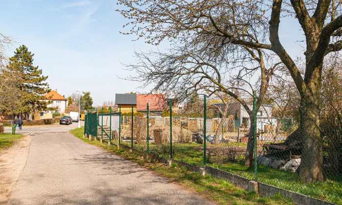 Židovský hřbitov v Hradci Králové