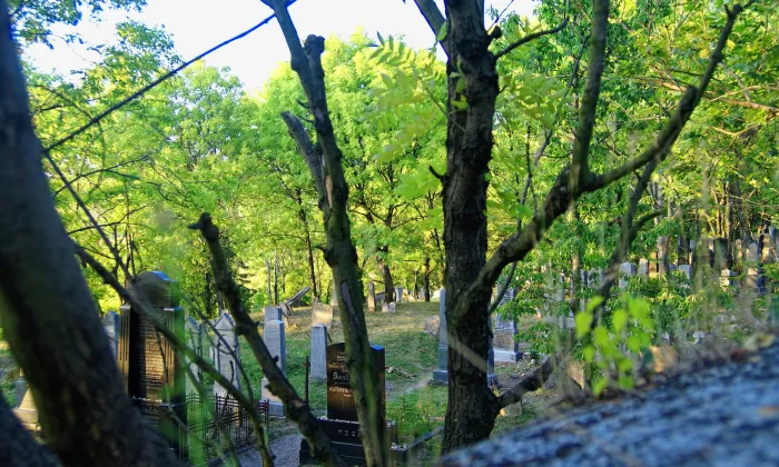 Židovský hřbitov v Mikulově