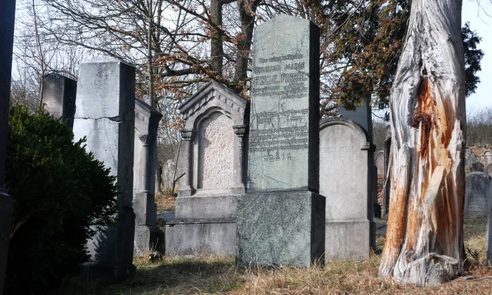 Židovský hřbitov v Mořině