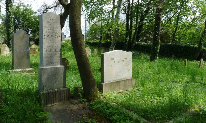 Židovský hřbitov ve Stříteži