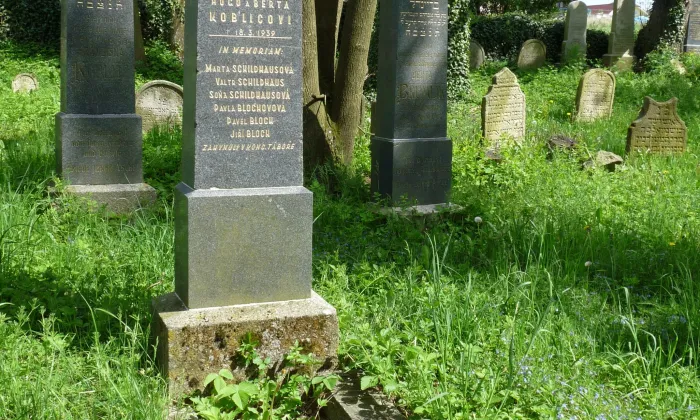 Židovský hřbitov ve Stříteži