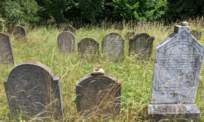 Židovský hřbitov ve Vamberku