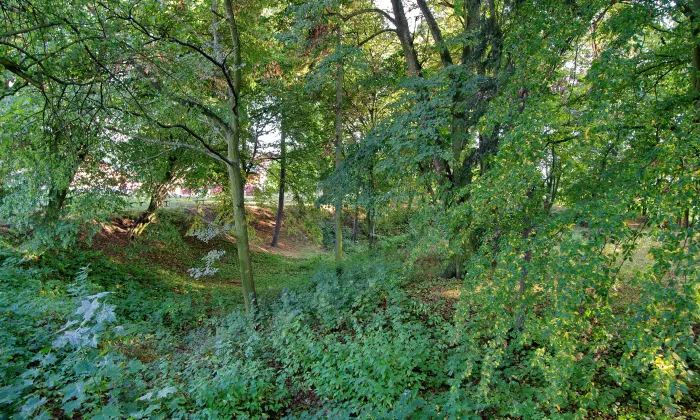 židovský hřbitov v Kynšperku nad Ohří