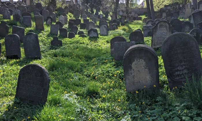 židovský hřbitov v Novém Bydžově