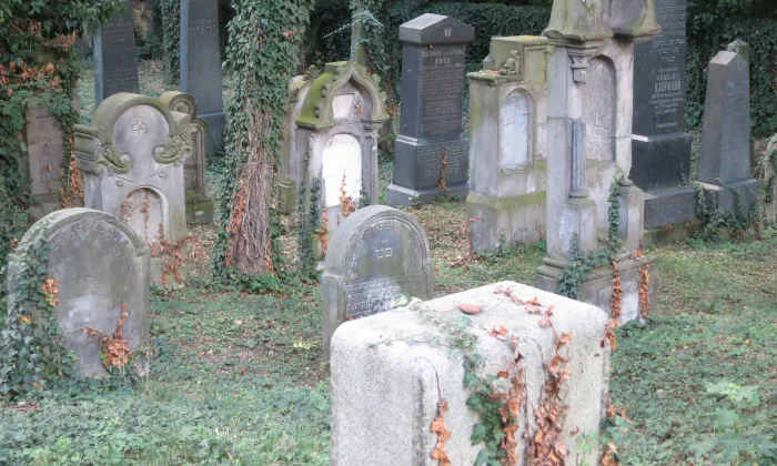 židovský hřbitov ve Zlonicích