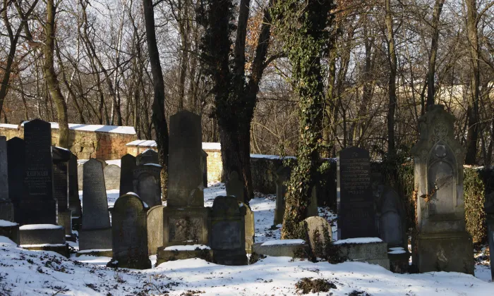 židovský hřbitov ve Zlonicích