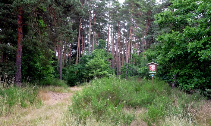 Halštatské a středověké hradiště