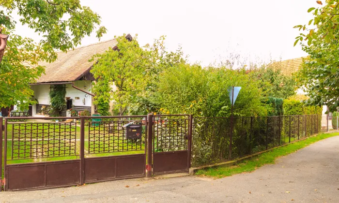 Popovec